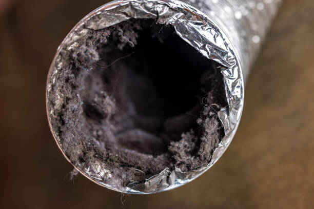 Best HVAC Duct Inspection Services  in Bayonne, NJ