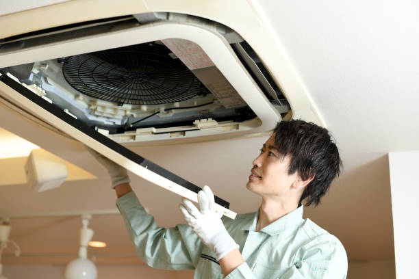 Best Air Duct Mold Removal  in Bayonne, NJ